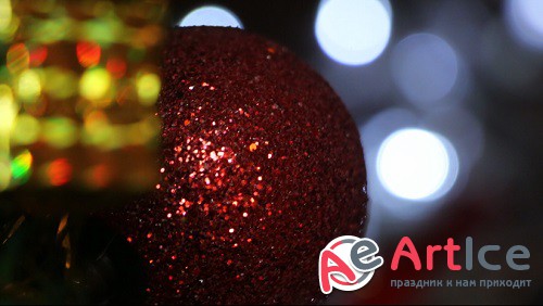 New Year Footage 13 /   13