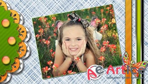    ProShow Producer -  