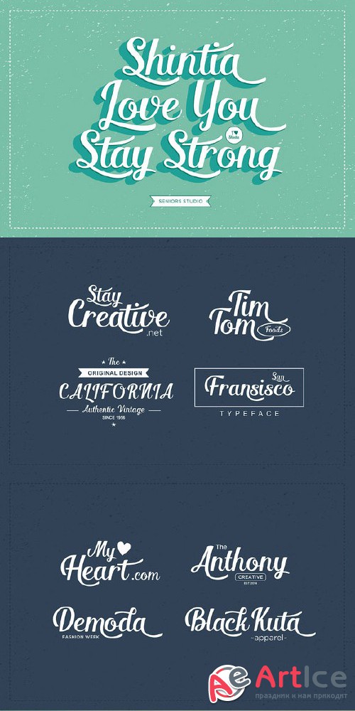 Shintia Script Font - Creativemarket 25671