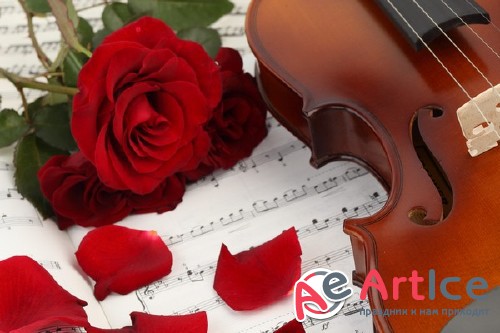 Violin (musical instrument) the images