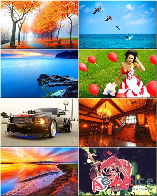 Wallpapers Collection Mixed #282