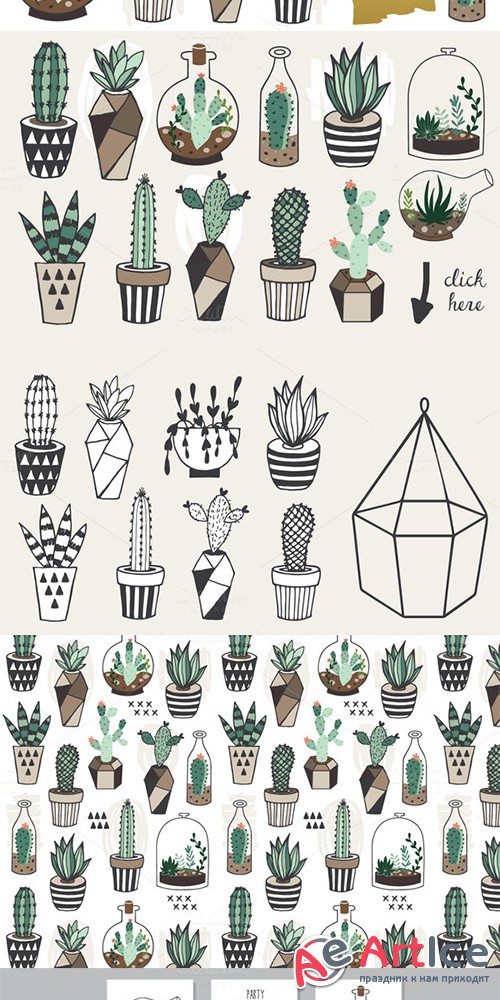 Succulents +Unlimited License - Creativemarket 319899