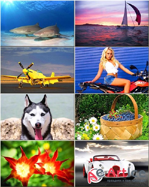 Wallpapers Collection Mixed #179