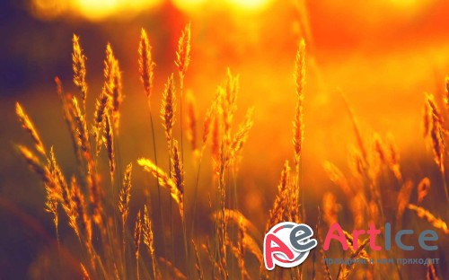 Best Mixed Wallpapers Pack #222