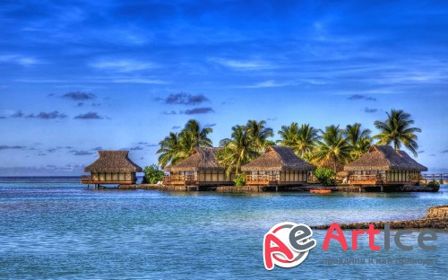 Best Mixed Wallpapers Pack #222