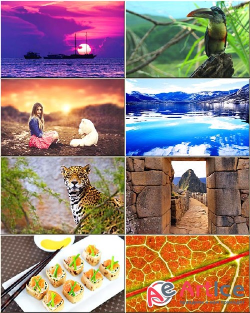 Wallpapers Collection Mixed #221