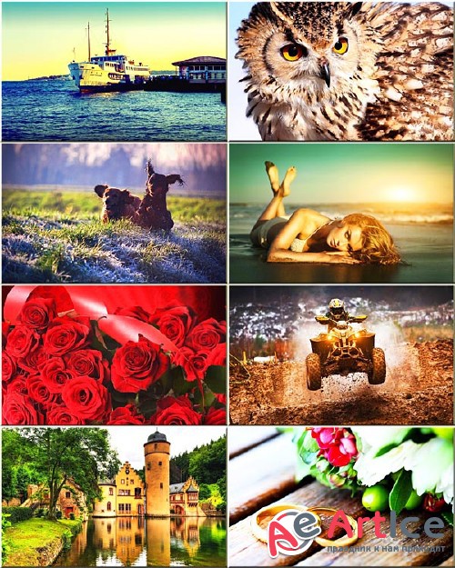 Wallpapers Mixed Collection #113