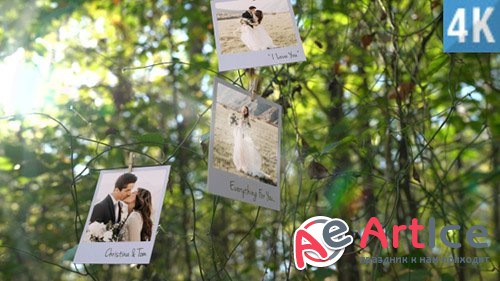 Memories on Trees - After Effects Project