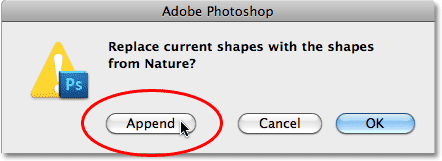  -    Photoshop:   !