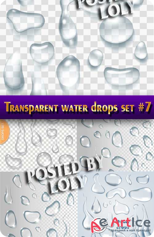   #7 -  