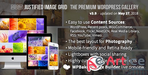 CodeCanyon - Justified Image Grid v3.9.1 - Premium WordPress Gallery - 2594251