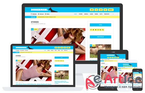 CSSIgniter - Doberman v1.3.2 - WordPress Theme