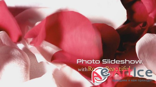  ProShow Producer - Photo Slideshow with Roses Beautiful