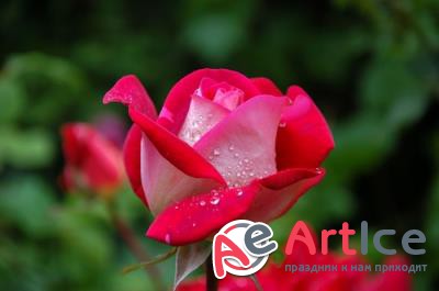 New best wallpapers pack #61