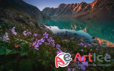 New best wallpapers pack #102