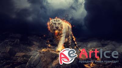 New best wallpapers pack #109