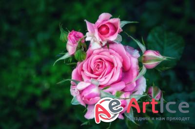 New best wallpapers pack #132