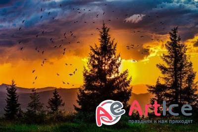 New best wallpapers pack #132