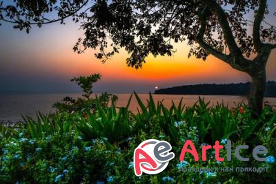 New best wallpapers pack #132