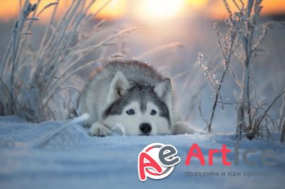 New best wallpapers pack #163
