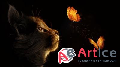 New best wallpapers pack #183