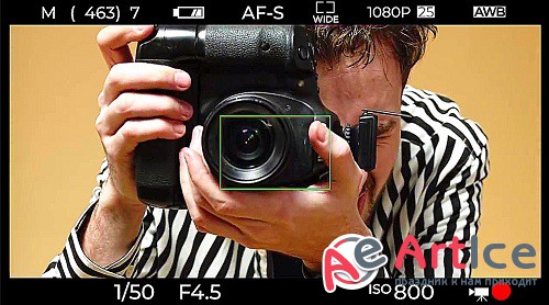 Photo Display - Premiere Pro Presets